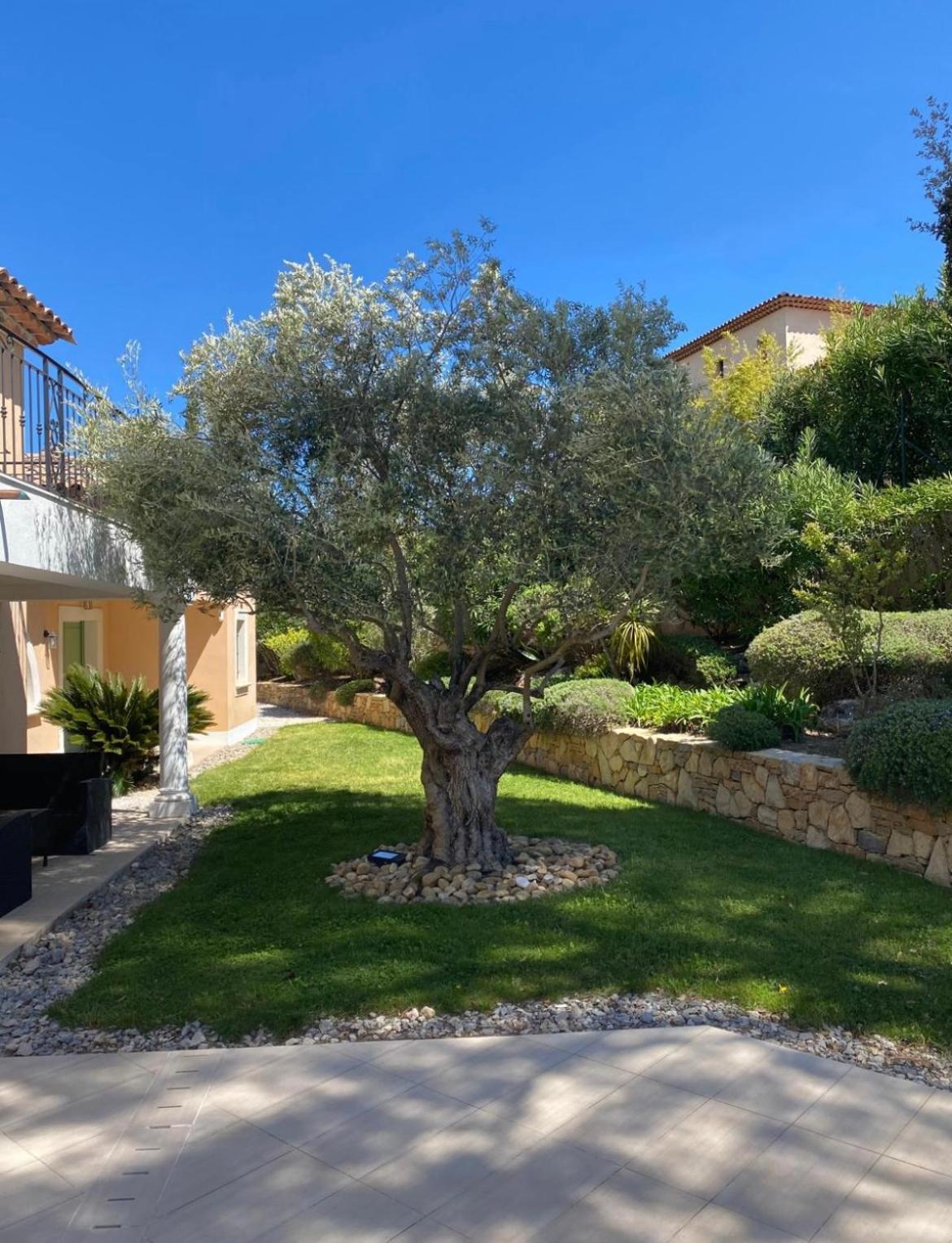 Belle Villa Dans Clos Prive - Saint Raphael Boulouris Eksteriør bilde
