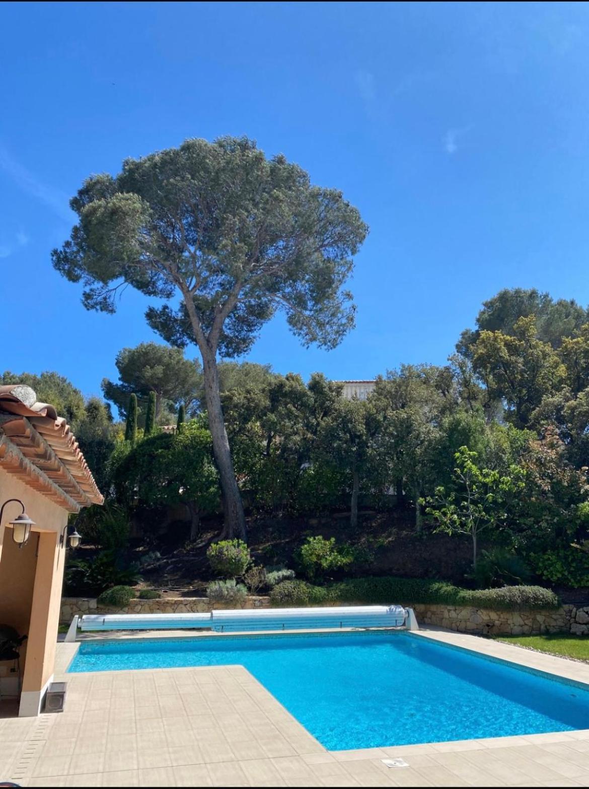 Belle Villa Dans Clos Prive - Saint Raphael Boulouris Eksteriør bilde