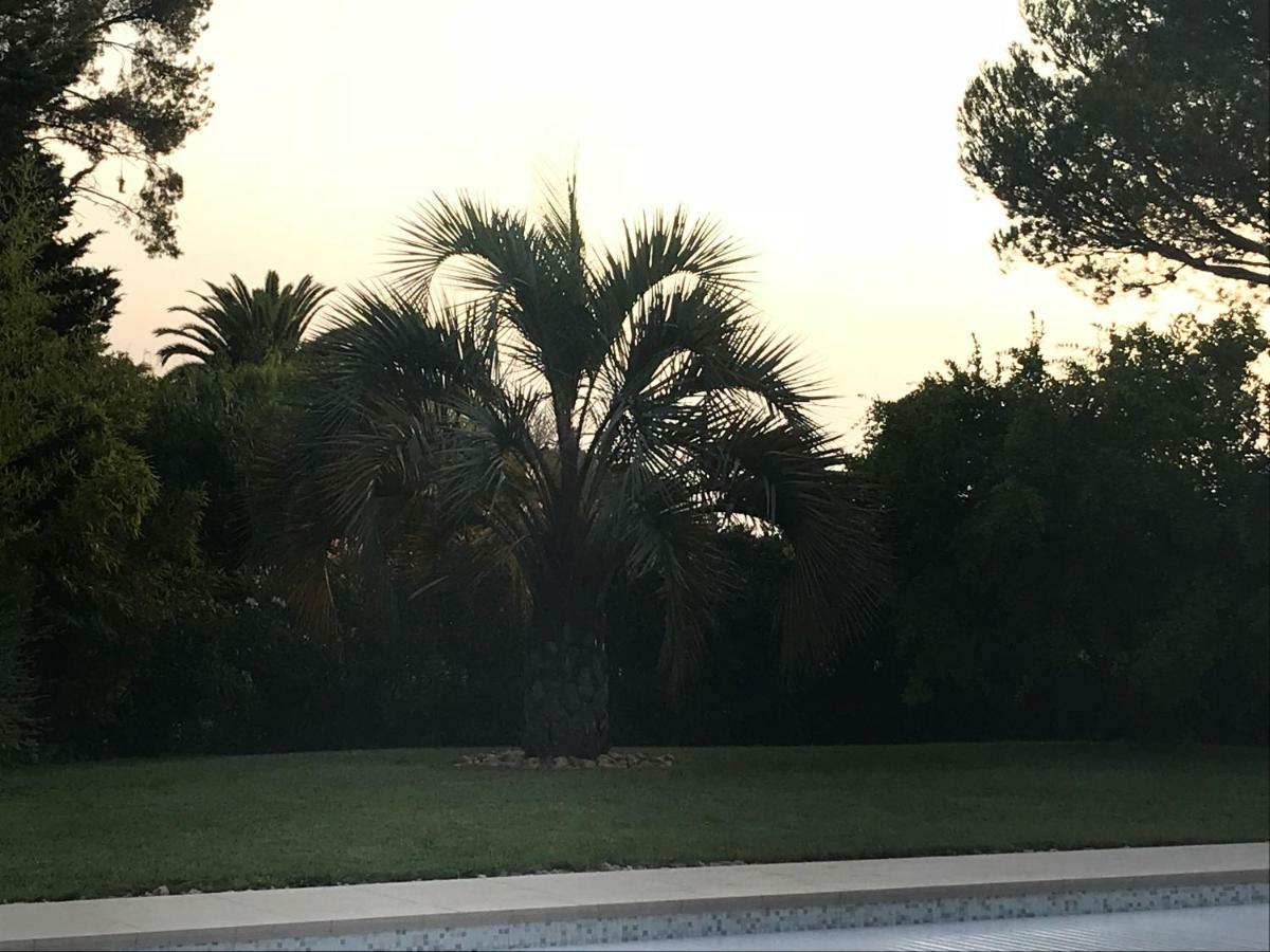 Belle Villa Dans Clos Prive - Saint Raphael Boulouris Eksteriør bilde