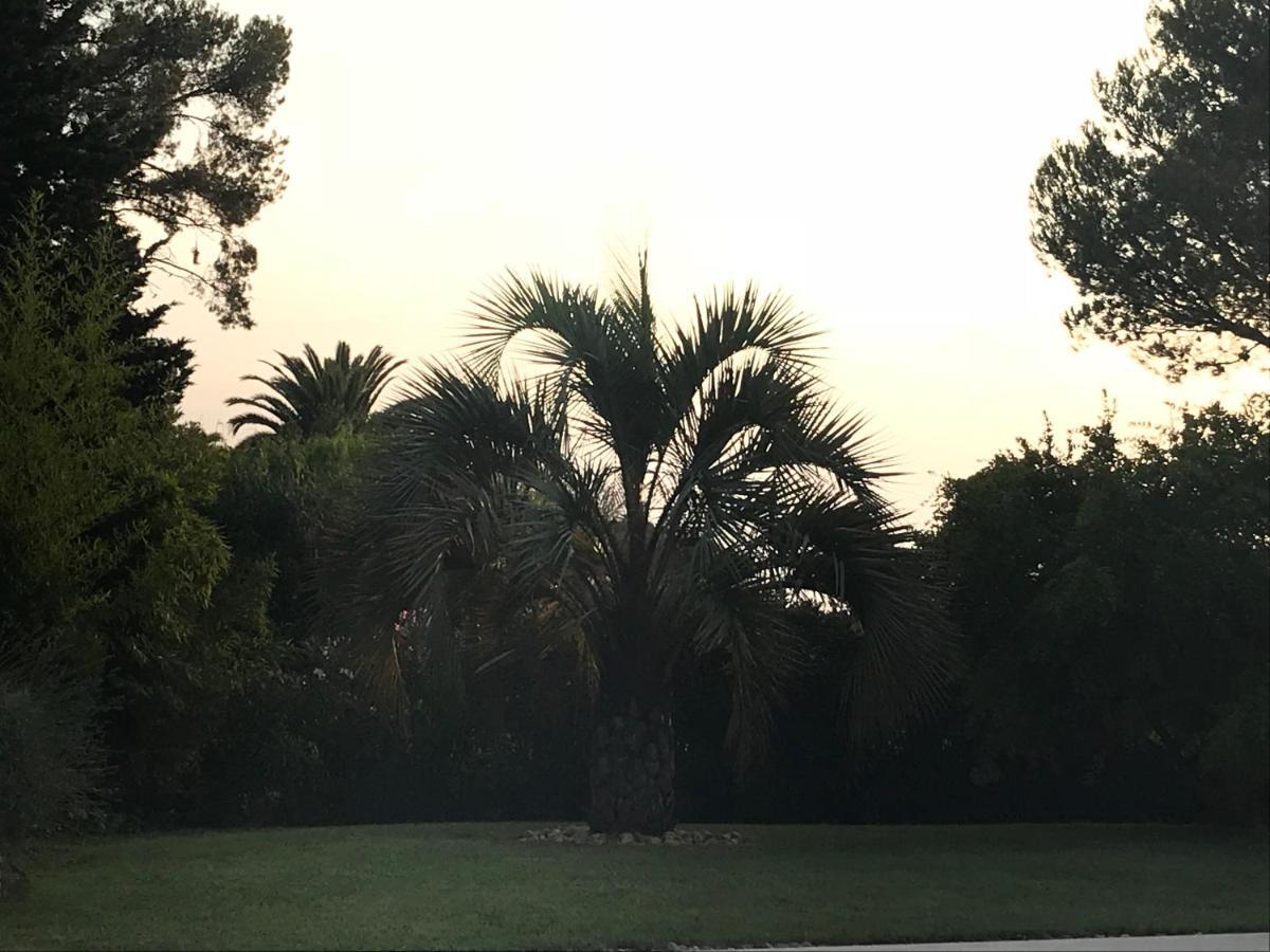 Belle Villa Dans Clos Prive - Saint Raphael Boulouris Eksteriør bilde